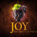 Joy The Fruit of the Spirit
